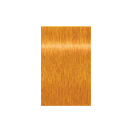 IGORA ROYAL 0-55 Złoty Koncentrat Schwarzkopf 60 ml